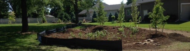 Trees planted in berm on north side of property