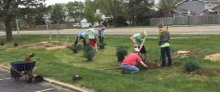 Planting Trees