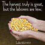 Bulletin image for Sunday, February 8, 2026