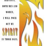 Bulletin for Sunday, May 24, 2026