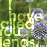 Bulletin for Sunday, July 26, 2026