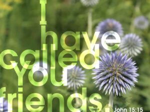 Bulletin for Sunday, July 26, 2026