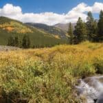 Bulletin for Sunday, August 16, 2026