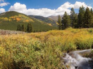 Bulletin for Sunday, August 16, 2026